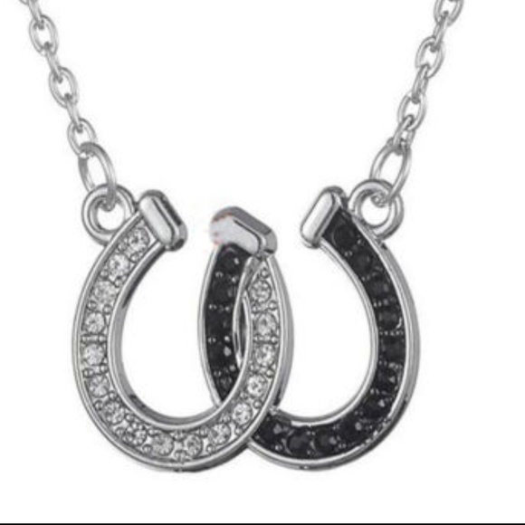 Other - Silver/Black Rhinestone Inter Locking Horse Shoes